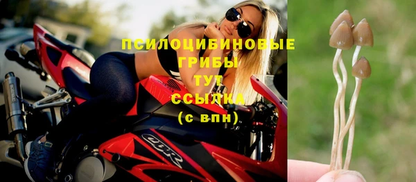 таблы Белокуриха